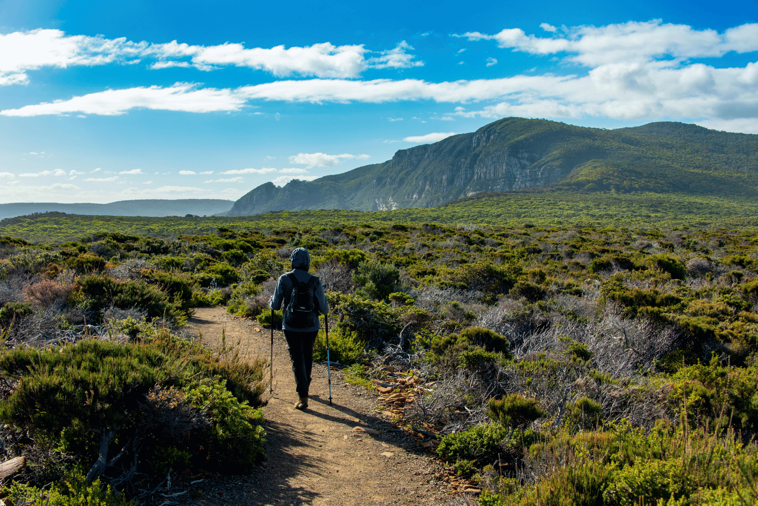 Treasures of Tasmania 9 23