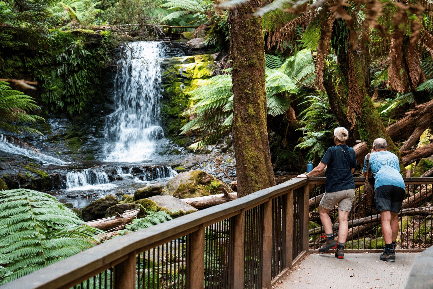 Treasures of Tasmania 22 3