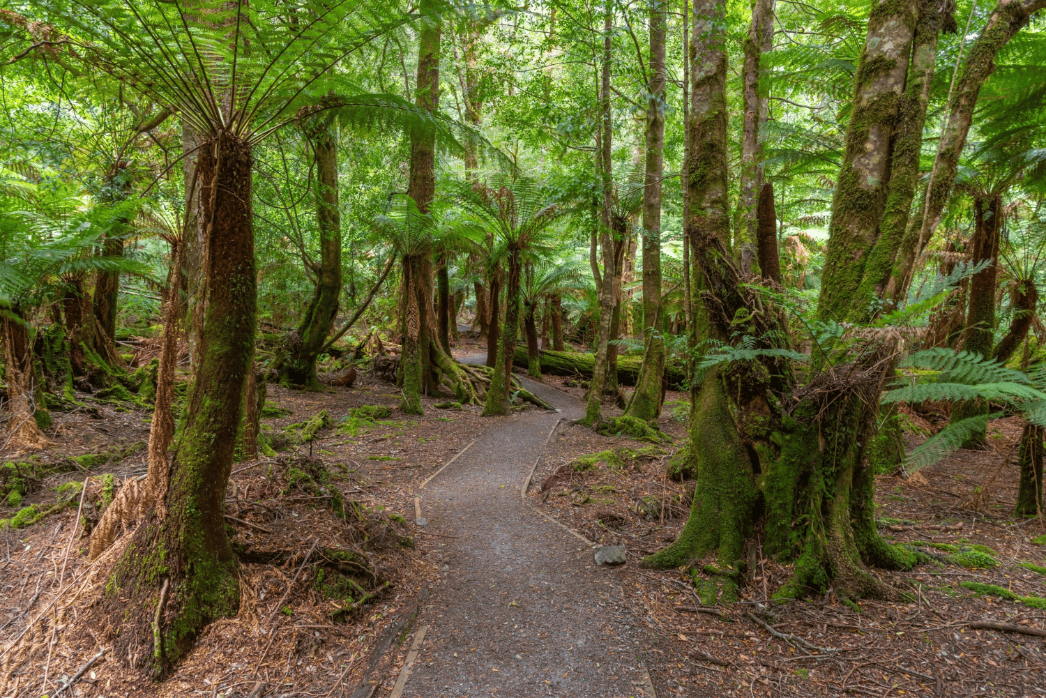 Treasures of Tasmania 21 31