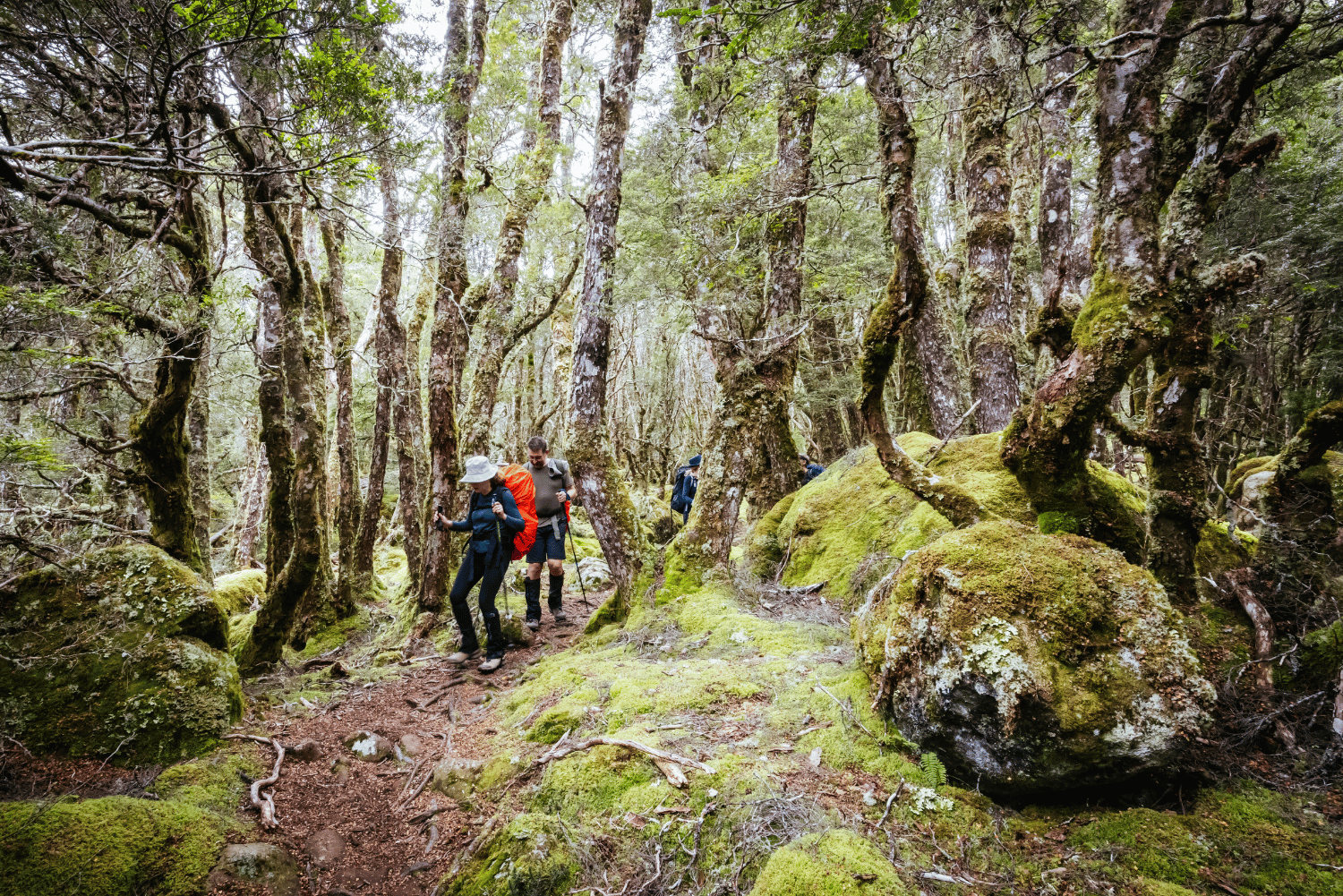 Treasures of Tasmania 23 6