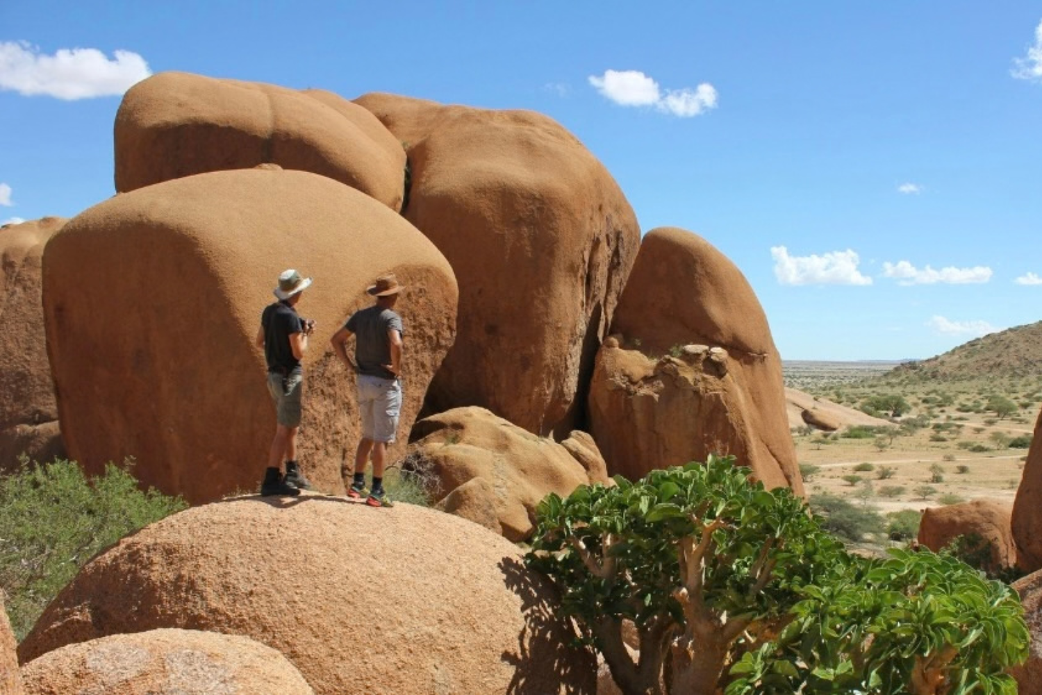 African Walkabout 10 1