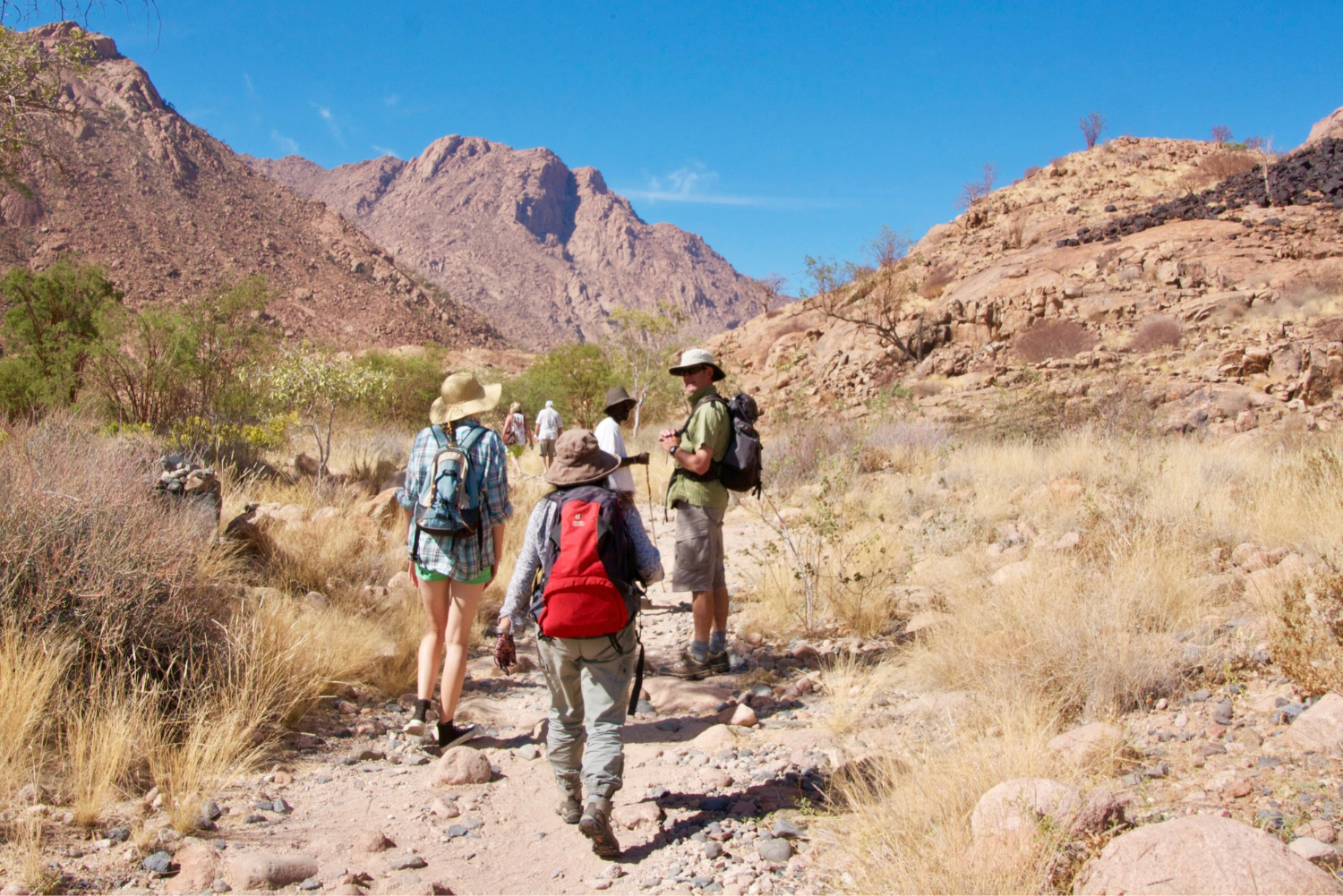African Walkabout 17 11