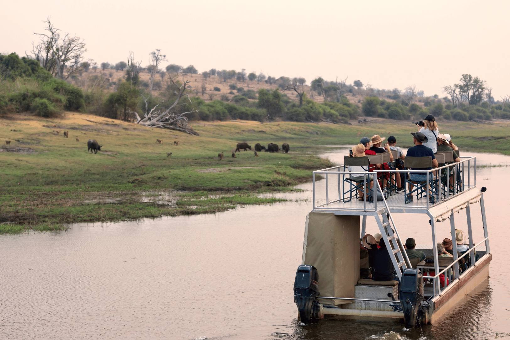 African Walkabout 11 3