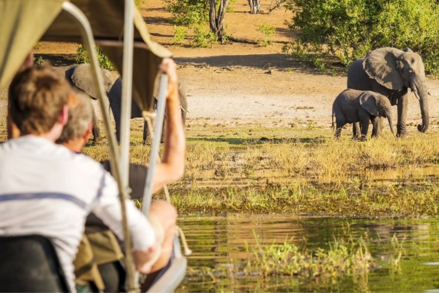 African Walkabout 12 5