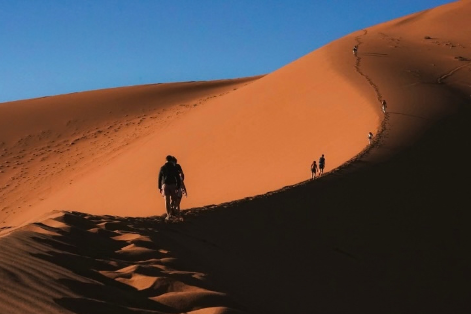 African Walkabout 5 6