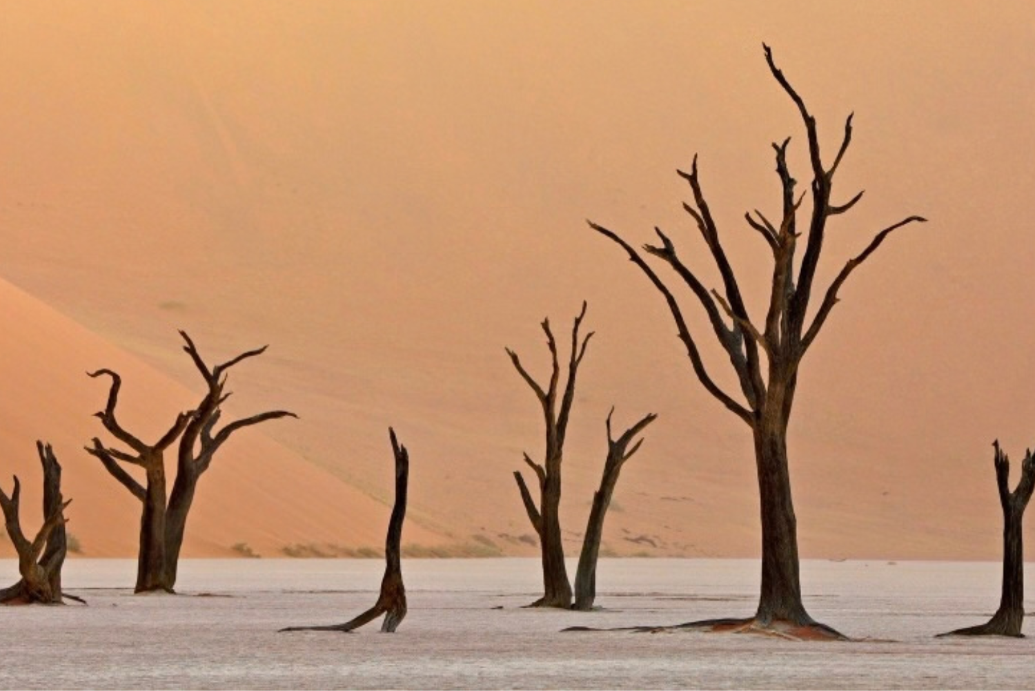African Walkabout 3 7