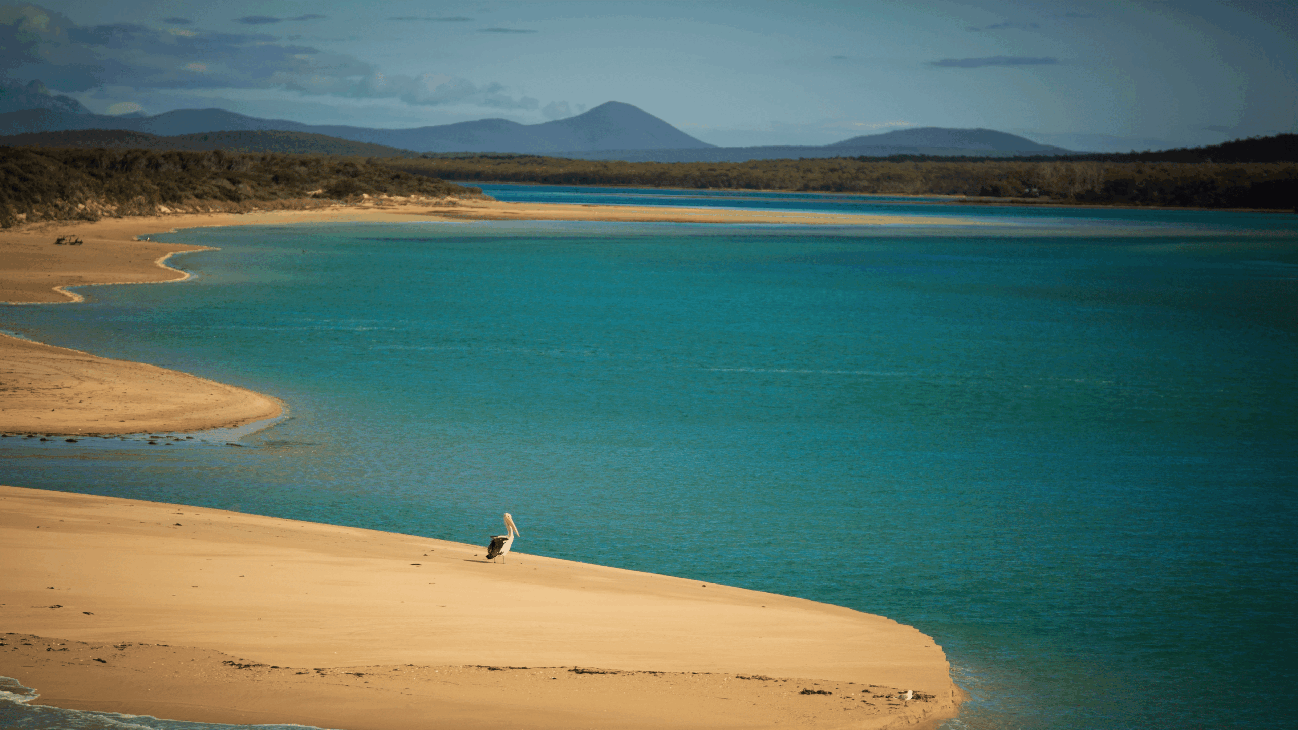 Flinders Island – The Jewel of Bass Strait 5 7