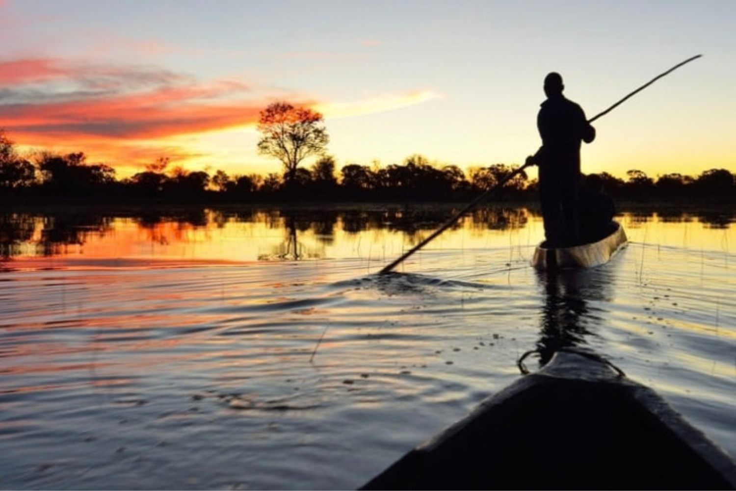 African Walkabout 14 8